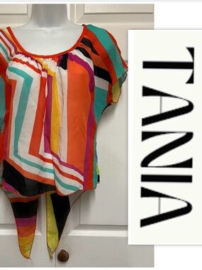 TANIA Multicolored Sheer Striped Top